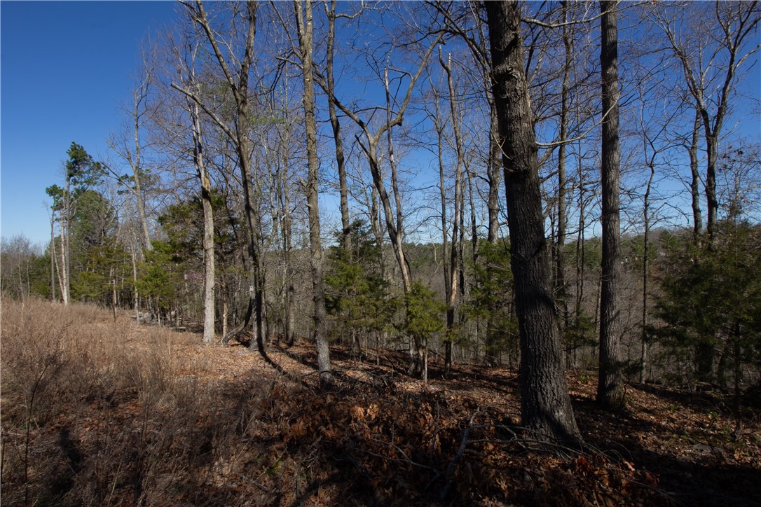 Tanglewood Resort No 2- Rurban - Land