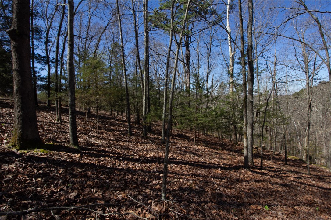 Tanglewood Resort No 2- Rurban - Land