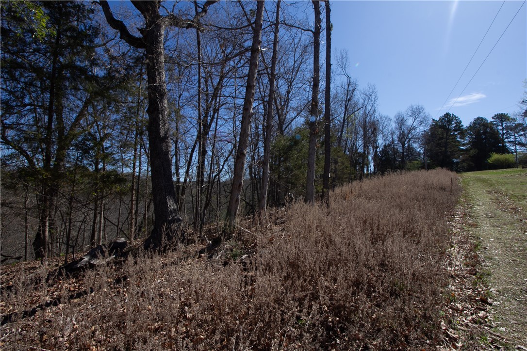 Tanglewood Resort No 2- Rurban - Land
