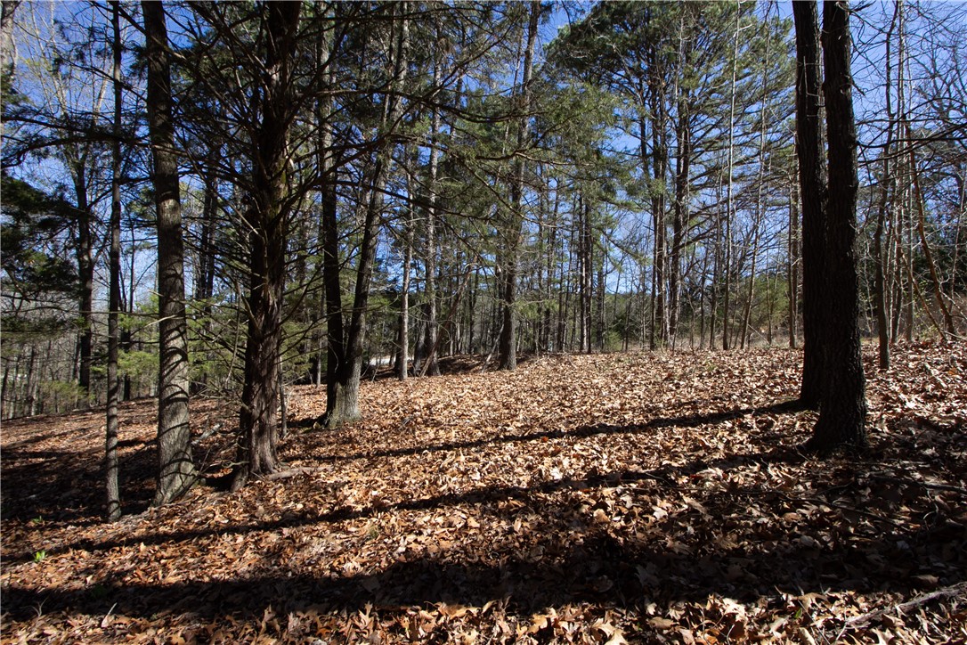 Tanglewood Resort No 2- Rurban - Land