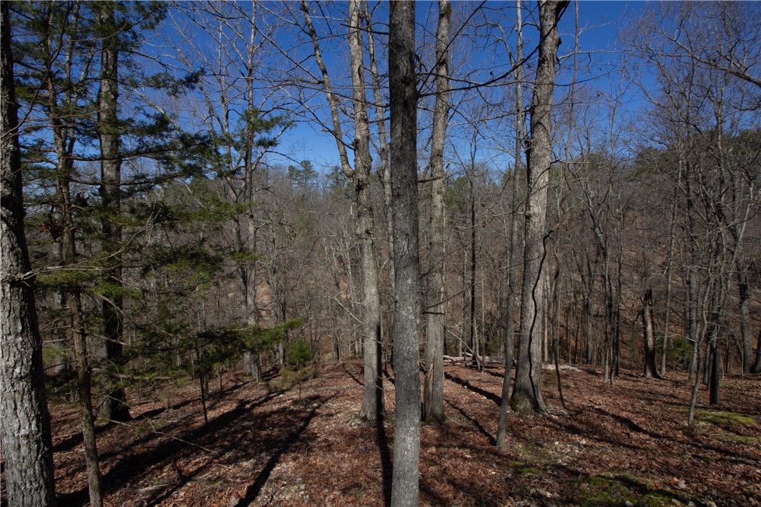 Tanglewood Resort No 2- Rurban - Land