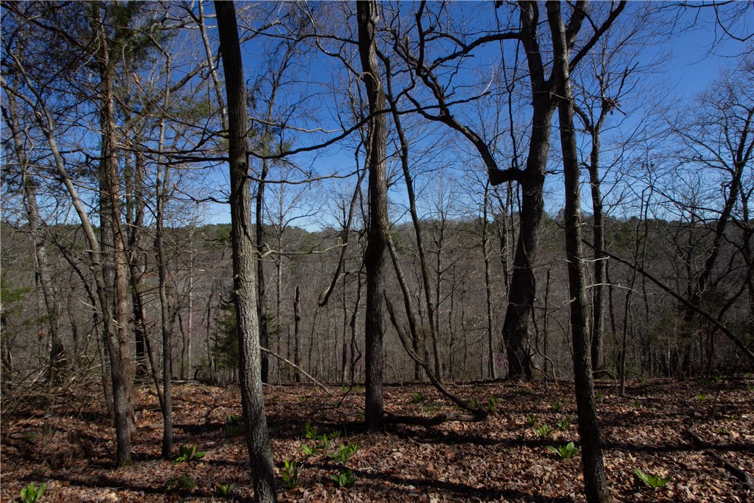 Tanglewood Resort No 2- Rurban - Land