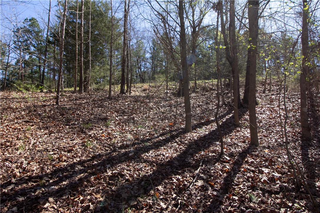 Tanglewood Resort No 2- Rurban - Land