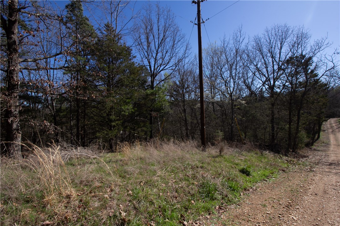 Tanglewood Resort No 2- Rurban - Land