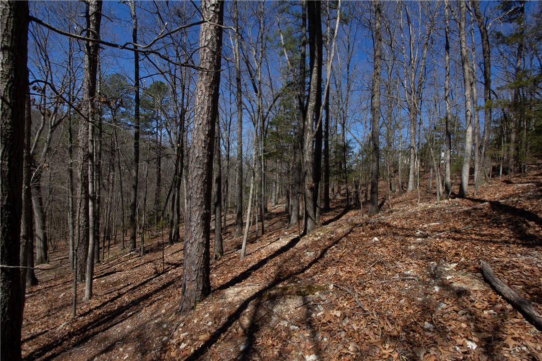 Tanglewood Resort No 2- Rurban - Land