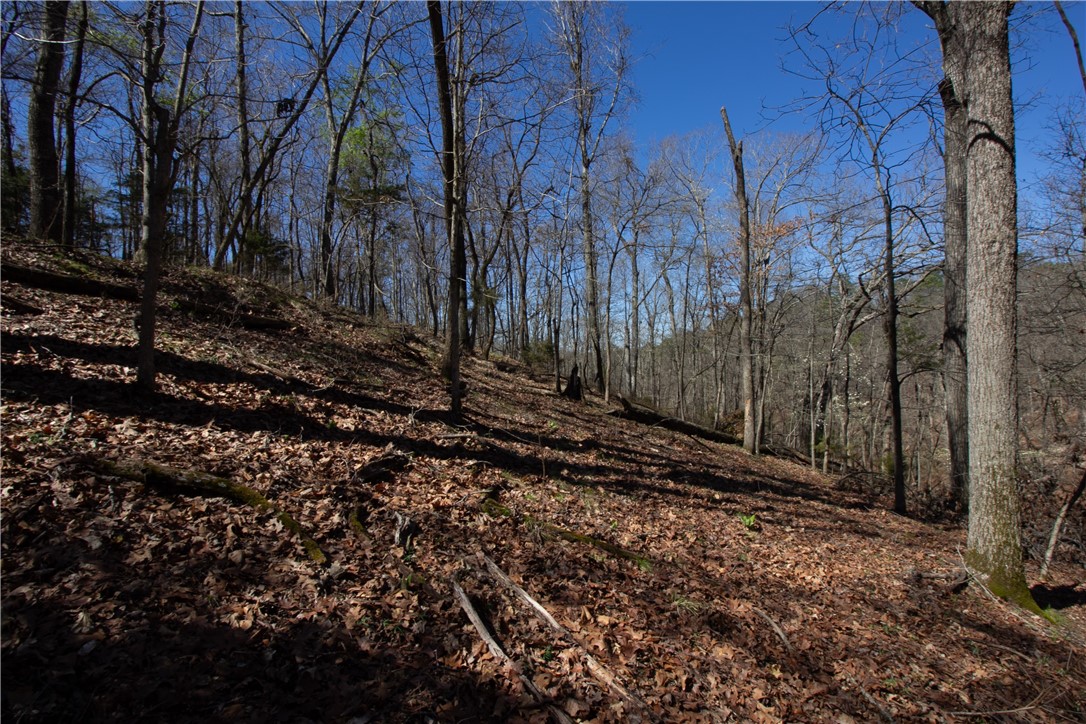 Tanglewood Resort No 2- Rurban - Land
