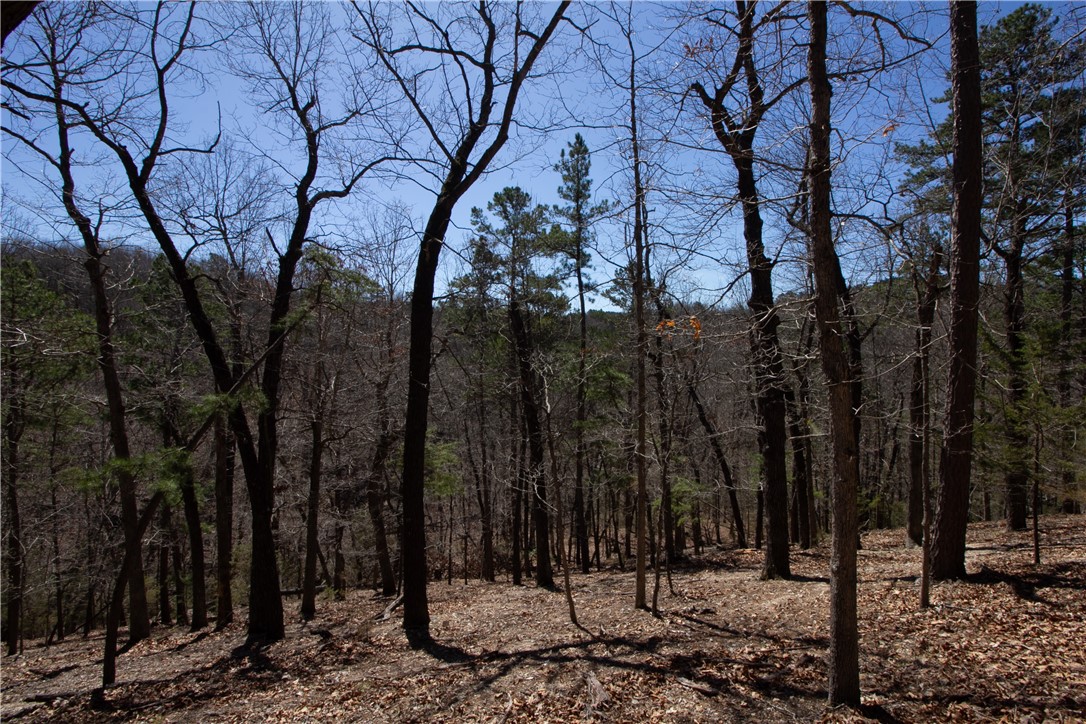 Tanglewood Resort No 2- Rurban - Land