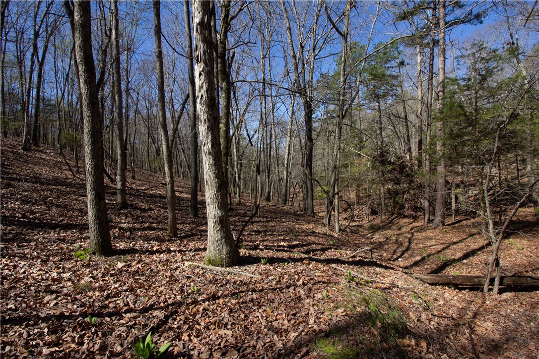 Tanglewood Resort No 2- Rurban - Land