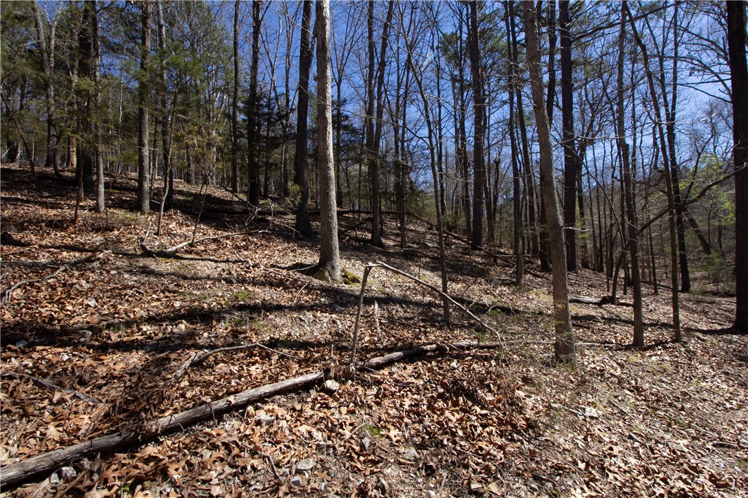 Tanglewood Resort No 2- Rurban - Land