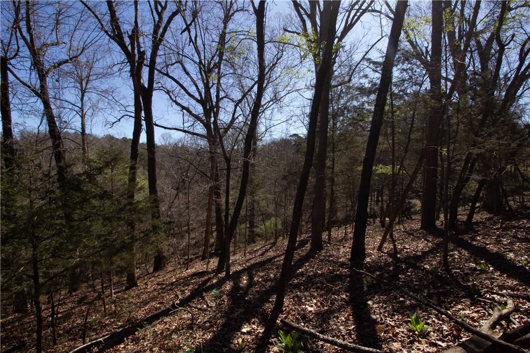 Tanglewood Resort No 2- Rurban - Land