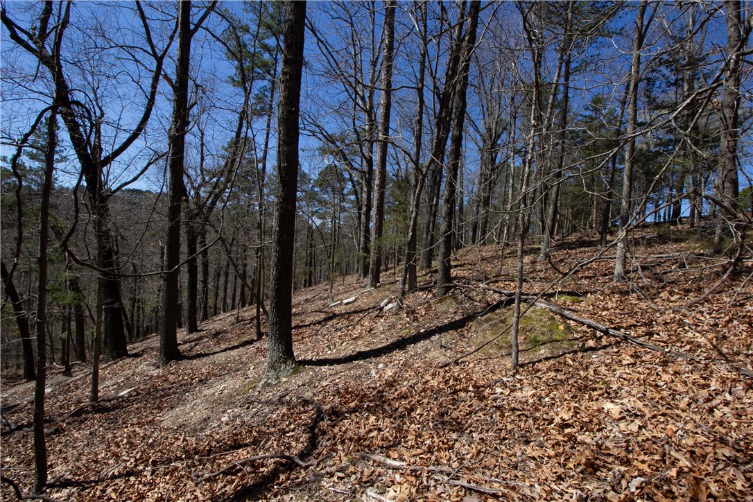 Tanglewood Resort No 2- Rurban - Land