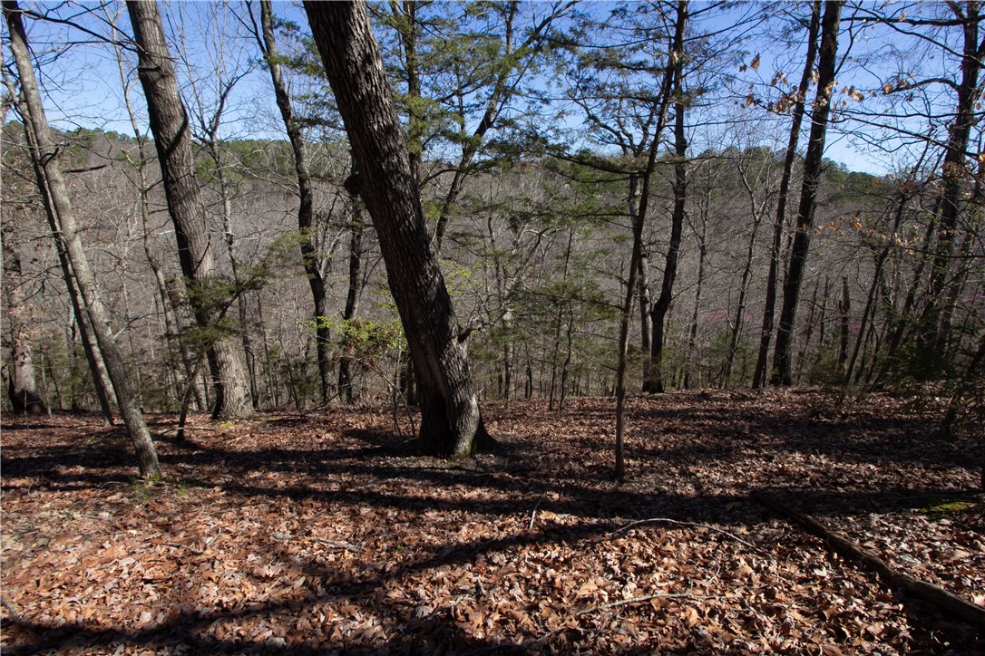 Tanglewood Resort No 2- Rurban - Land