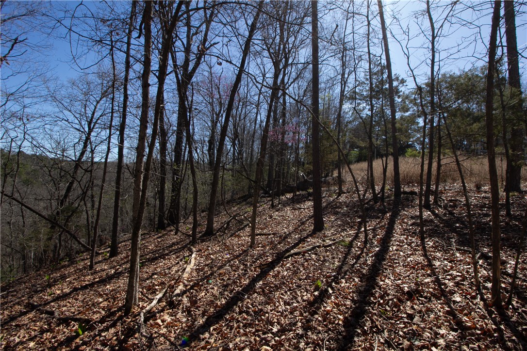 Tanglewood Resort No 2- Rurban - Land
