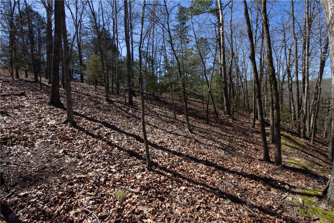 Tanglewood Resort No 2- Rurban - Land