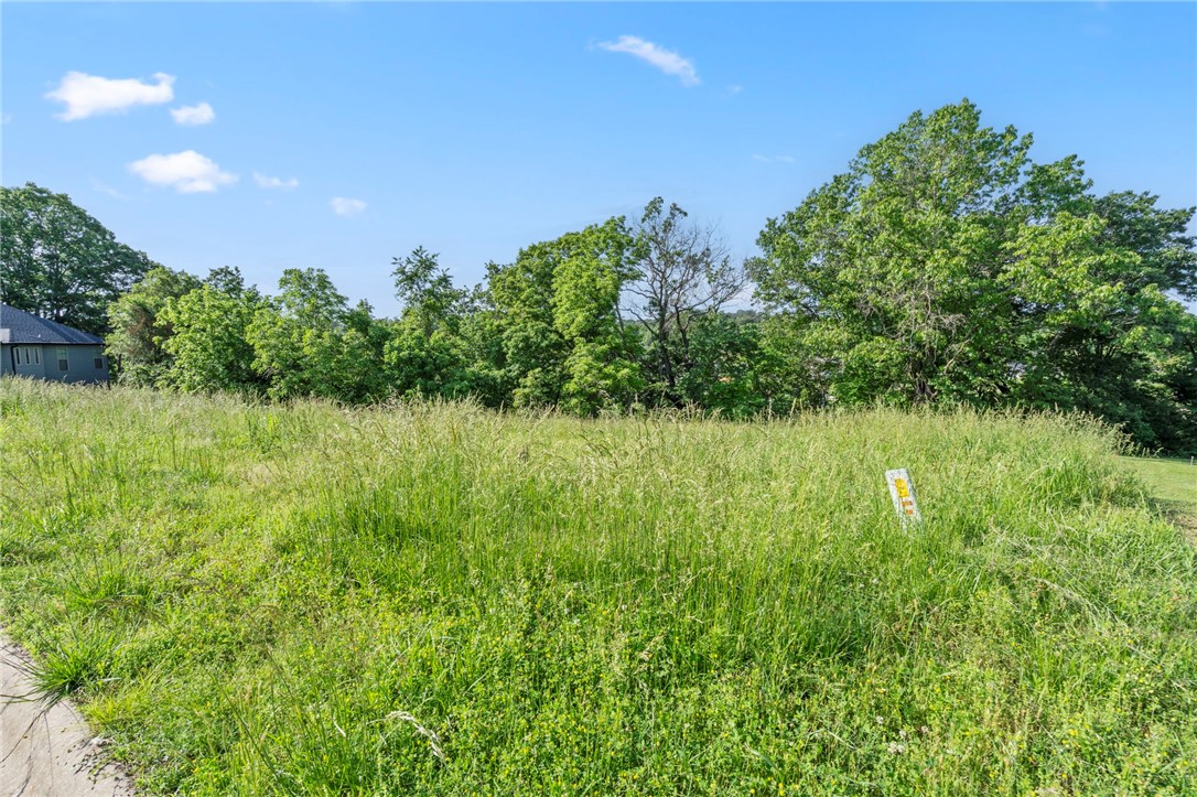 Sugar Creek - Land