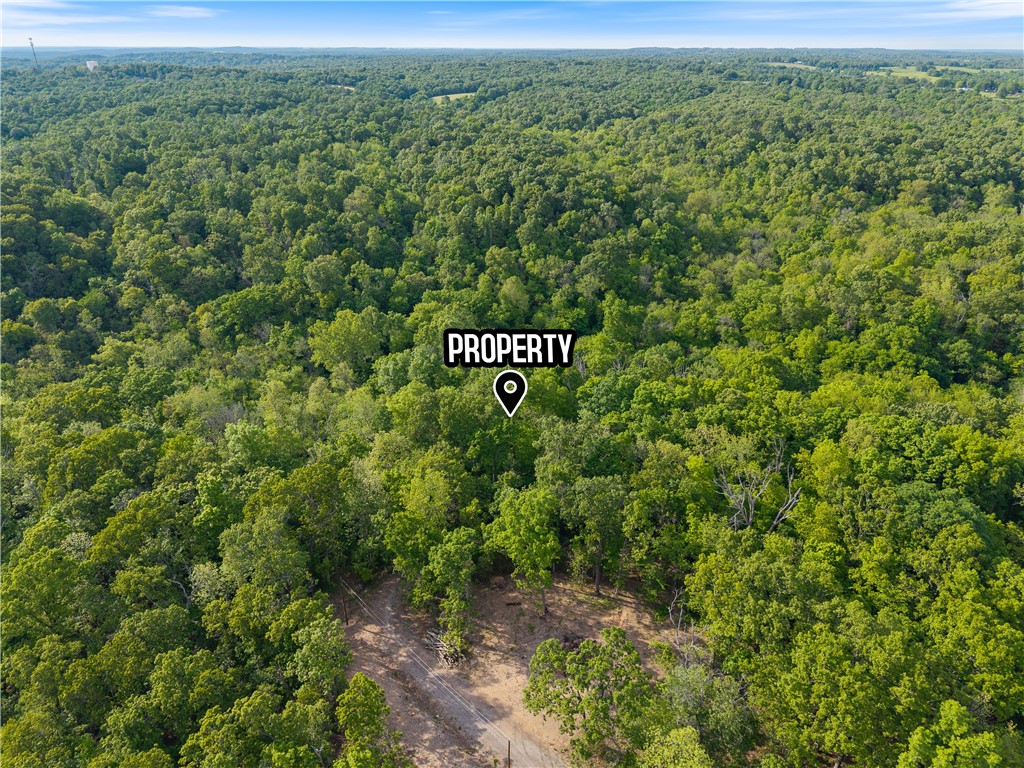 Lot 30 and 31 side by side ready for your new home to be built in the beautiful City of Bella Vista. This northerly lot almost touches the Missouri border with no other lots behind it to obstruct your peace and quiet. .68 acres and has been perc tested.