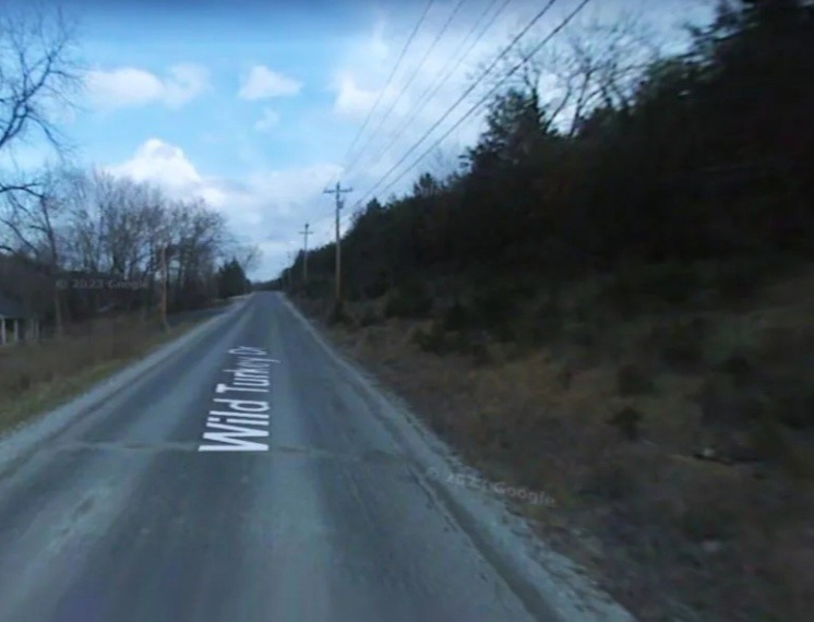 Unit 7 Holiday Island - Land