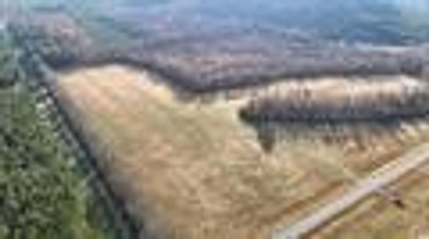 Rare find in Conway County!  40+/- acres, with approximately 22 acres of pasture currently yielding quality hay, this property offers immediate agricultural value and plenty of room for livestock or hobby farming.  The remaining timber acreage provides excellent wildlife habitat, making this an attractive option for hunters and outdoor enthusiasts.  There are Deer and turkey which offers the perfect hunting opportunity.