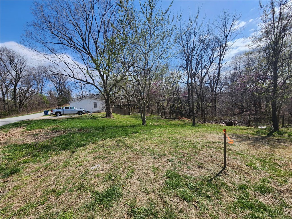 Nice lot in Bella Vista that is not part of the Bella Vista Property Owners Association. Water is furnished by a Community Well. Electric at the street. Needs Septic System. Located off of Forest Hills Blvd (Hwy 279) is very conveniently located to shopping and dining area. Plus there's a Wal-Mart less than 5 miles away in Jane Mo.