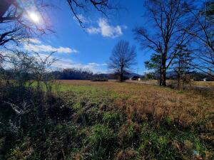 Treaty Creek Estates - Land