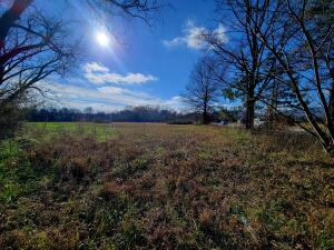 Treaty Creek Estates - Land