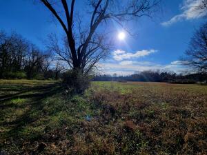 Treaty Creek Estates - Land