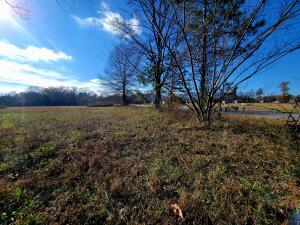 Treaty Creek Estates - Land