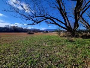 Treaty Creek Estates - Land