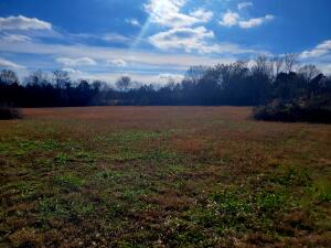 Treaty Creek Estates - Land