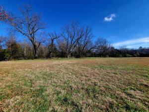 Treaty Creek Estates - Land