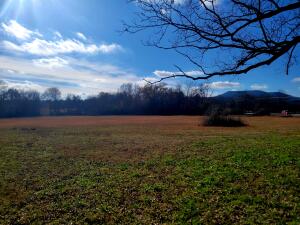 Treaty Creek Estates - Land