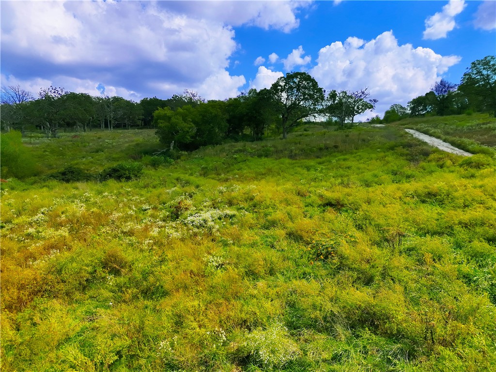 Outside of Town - Land