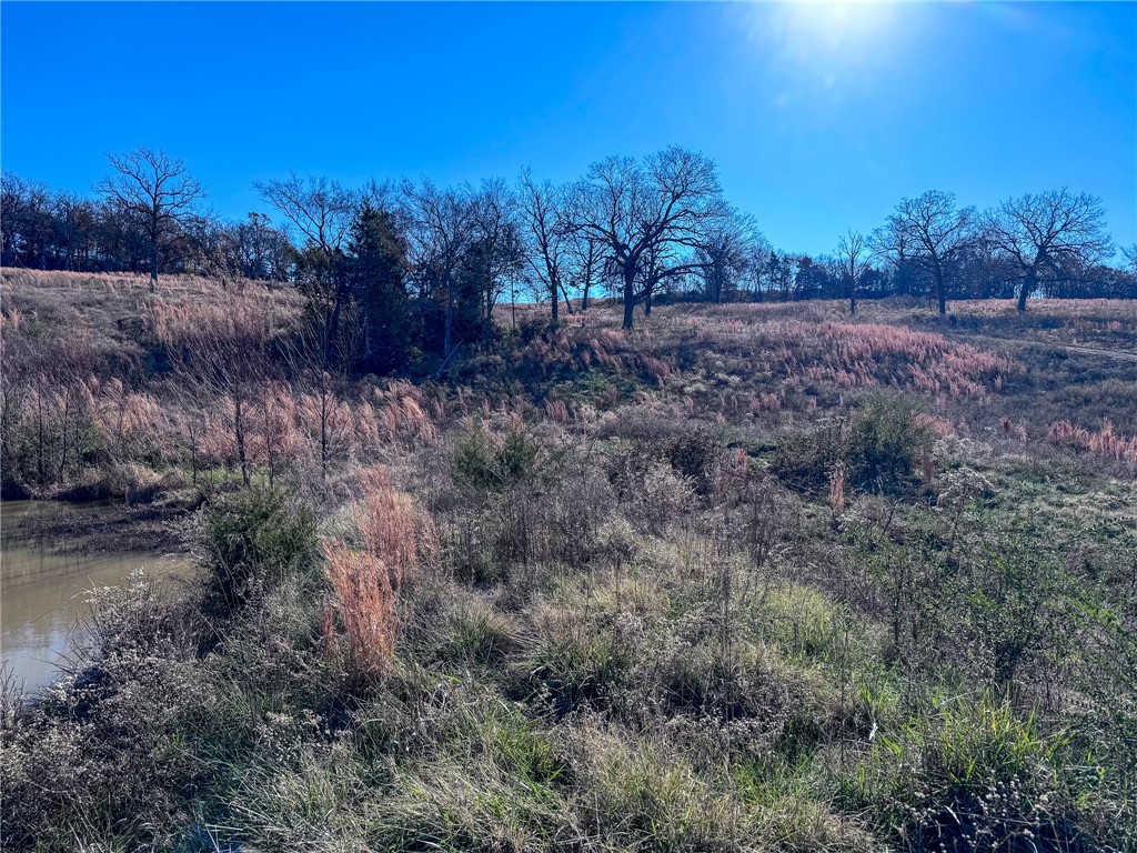Outside of Town - Land