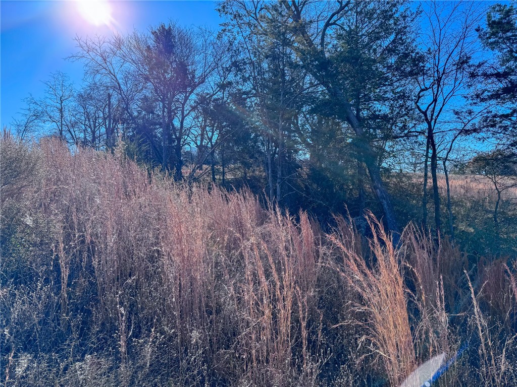 Outside of Town - Land