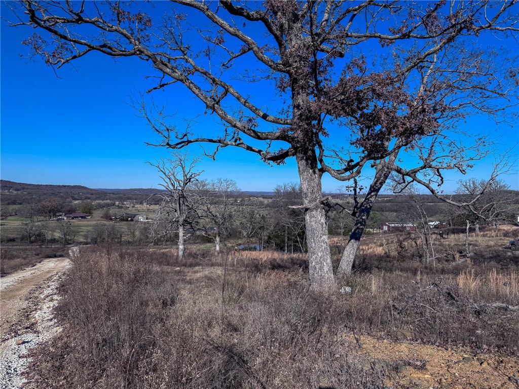 Outside of Town - Land