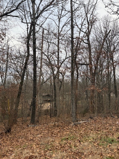 Quantock Hills Sub Bvv - Land