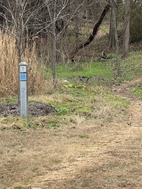 Quantock Hills Sub Bvv - Land