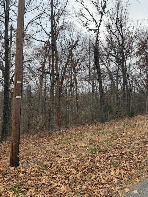 Quantock Hills Sub Bvv - Land