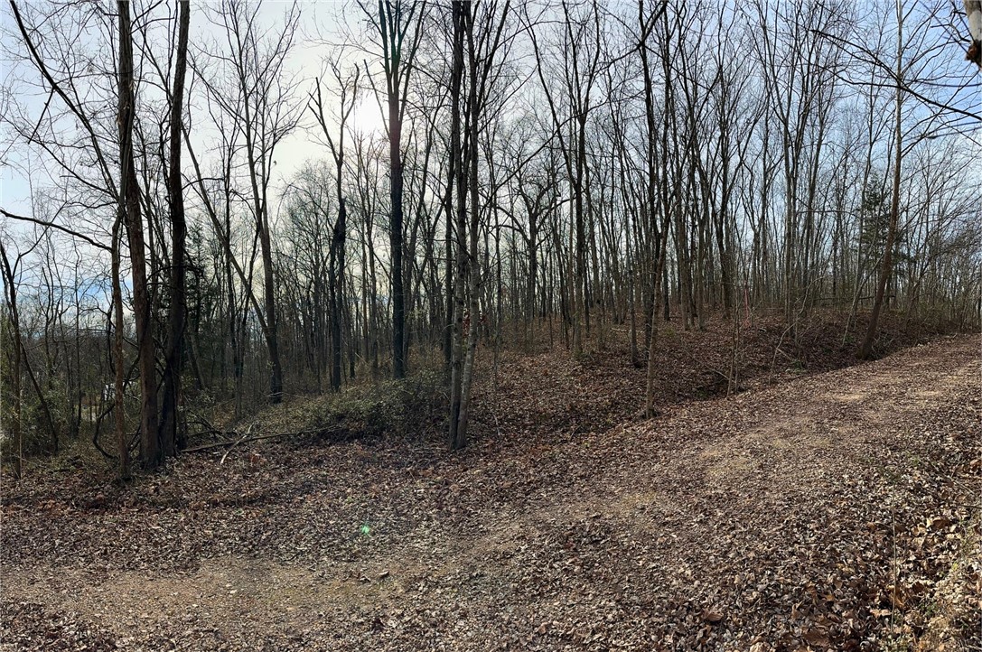 Belgravia Sub Bvv - Land