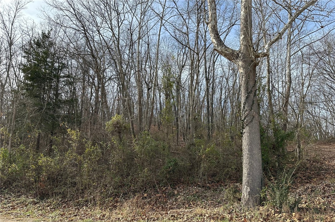 Belgravia Sub Bvv - Land