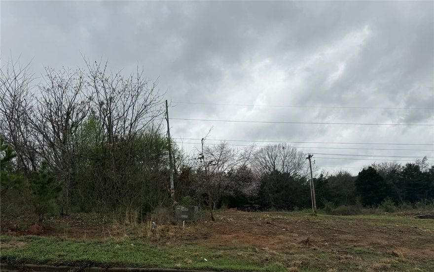Build the home you've always envisioned on this beautiful 0.17-acre lot nestled in the serene Magnolia Ridge Estates community in Russellville. Enjoy the rare combination of a peaceful, quiet neighborhood that feels like a country retreat — all within the convenience of city limits.
This ready-to-build lot comes fully equipped with city water, sewer, and electric already on site, so you can break ground without delay. Whether you're dreaming of a sprawling custom home or a cozy retreat, this lot offers the space and setting to bring your blueprints to life.
Don't miss this opportunity to plant your roots in one of Russellville's most inviting neighborhoods — the only thing missing is you.