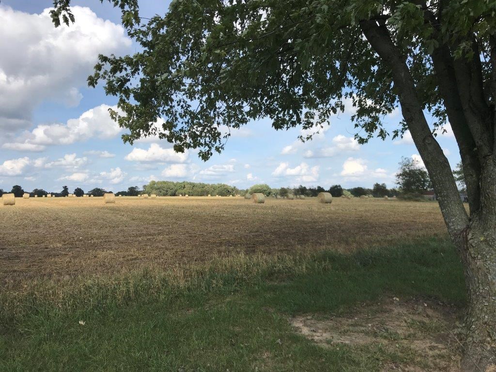 Amazing 10 acres, there are 2 parcels available if you want to have 20 acres total. Perfect for cattle, horses and a place to build your own dream home!