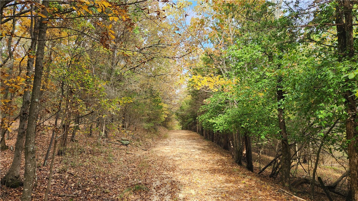 Fayetteville Outlots - Land