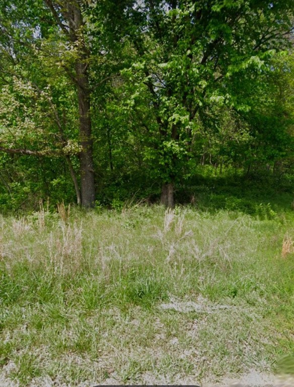 This lot is perfect if you are looking for a quiet street to build your dream home.. Located next to the Tunnel Vision trail, this lot has plenty of common property behind it to keep your backyard view stunning and private. Also enjoy the convenience of Loch Lomond and Lake Windsor, each are just minutes away, also allowing you with quick access to the newly completed Interstate 49.