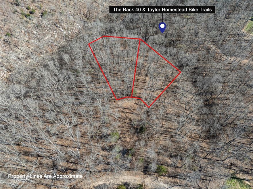 DOUBLE LOT! Discover this opportunity to build your dream home on Grimsby Lane. Completely surrounded by nature and still an empty cul-de-sac, the lots offer incredible privacy and beautiful views.  Both lots back up to the intersecting Back 40 Trail and Taylor Homestead Trails, providing immediate access to miles of world-class biking and hiking right from your backyard. Whether you’re an outdoor enthusiast or simply enjoy serene surroundings, this location delivers!
With gently sloping terrain and natural beauty throughout, the property offers flexibility for a variety of home designs. Enjoy the quiet neighborhood setting while still being just a short drive from golf courses, lakes, shopping, and dining. Don’t miss this rare chance to own a larger, trail-adjacent homesite in one of Bella Vista’s most sought-after areas.