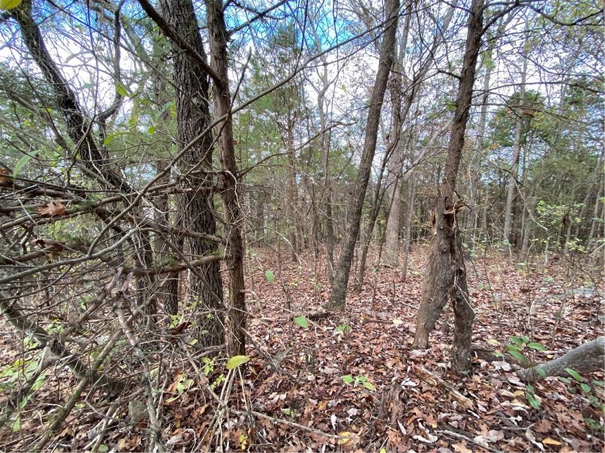 Nice half acre lot with an awesome view into Missouri once you do some clearing.  Hardwoods and cedars on lot for landscaping.  Fairly level spot to build or set a mobile home on ridge for the view.  Don't miss this fantastic listing.  Priced to sell.