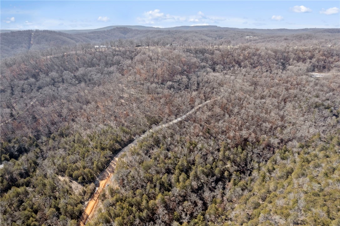 Beaver Lake Estates Rurban - Land
