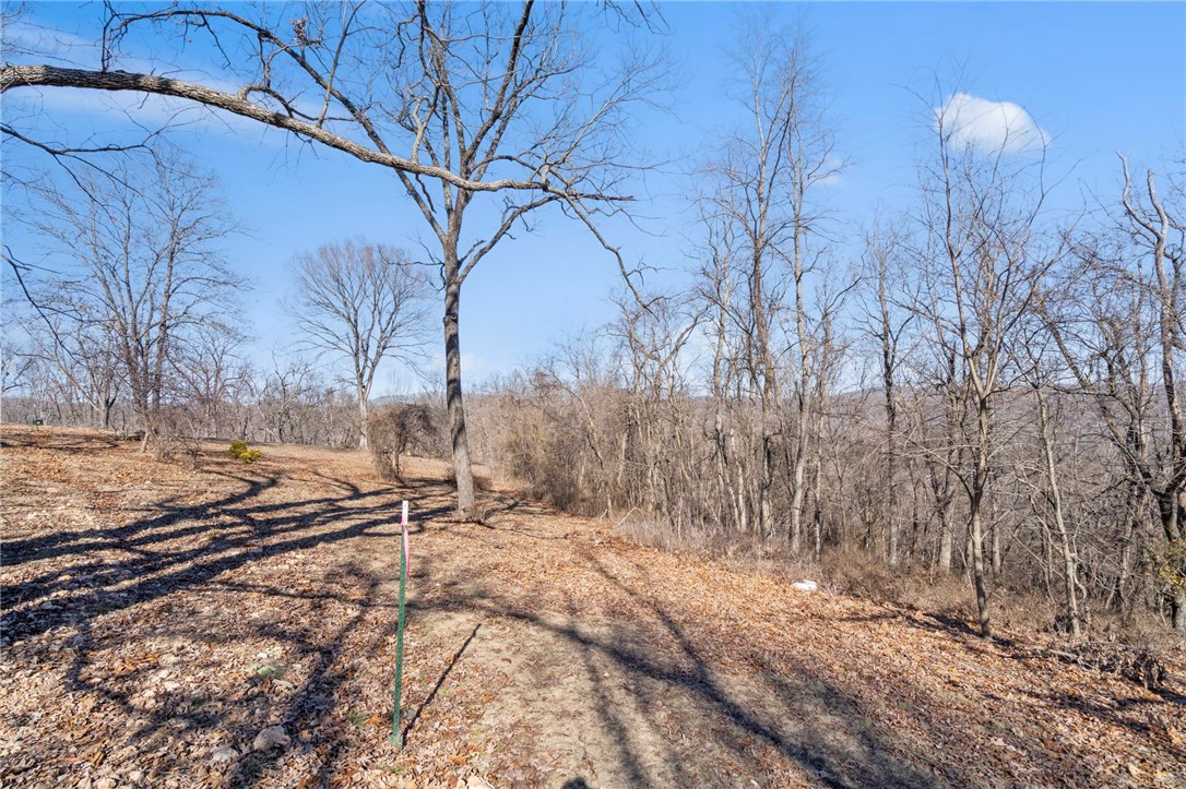 Beaver Lake Estates Rurban - Land