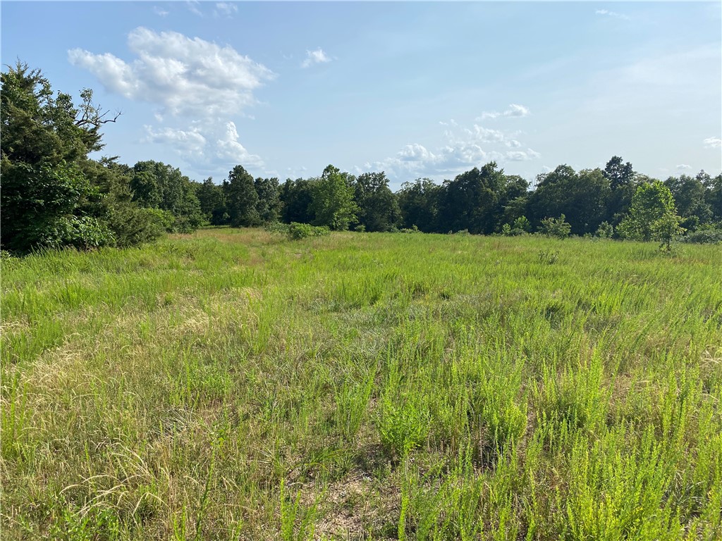 Great recreational 77 +/- acres in Witter. Large spring fed pond, partially fenced, and easily accessible directly off CR 3175. Mostly wooded so potentially money in timber with a cleared off area for a house or trailer/RV. Water and electric at the road. Perfect for a weekend getaway, hunting property, divide, or clear for cattle. Great views for miles. Property is a really nice piece very close to Huntsville.