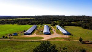 Poultry Laying Farm & Cattle Farm, Three 400'X42' laying houses, 3 ponds, wet weather streams, fenced and cross-fenced. Approx 43 acres of pasture land. Farm equipment sold separately.